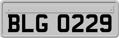 BLG0229