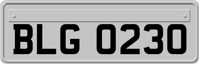 BLG0230