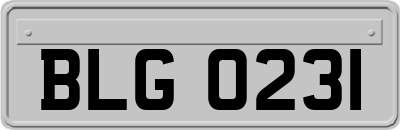 BLG0231