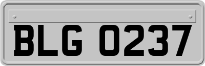BLG0237