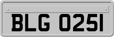 BLG0251