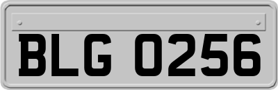 BLG0256