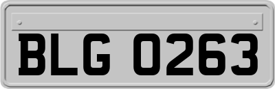 BLG0263