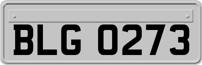 BLG0273