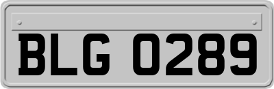 BLG0289