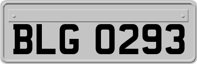 BLG0293
