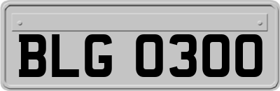 BLG0300