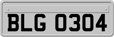 BLG0304