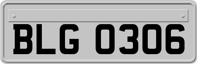 BLG0306