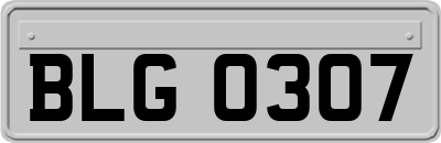BLG0307