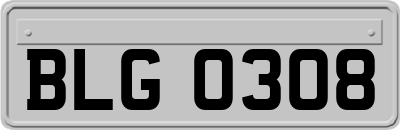 BLG0308