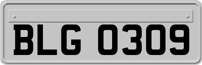 BLG0309