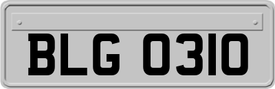 BLG0310
