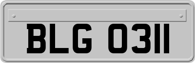 BLG0311