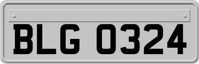 BLG0324