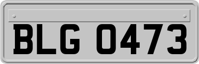 BLG0473