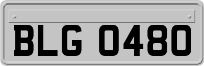 BLG0480