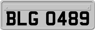 BLG0489