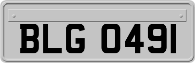 BLG0491