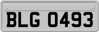 BLG0493