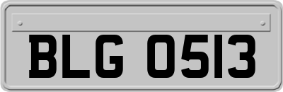 BLG0513