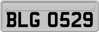 BLG0529