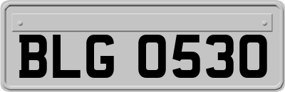 BLG0530