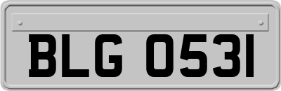 BLG0531