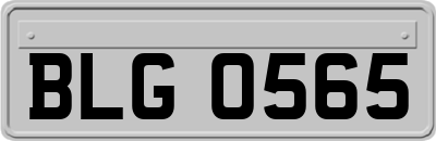 BLG0565