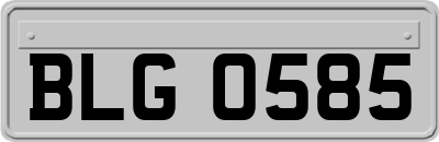 BLG0585