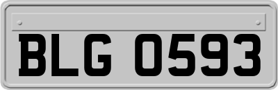 BLG0593