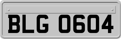 BLG0604