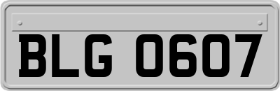 BLG0607