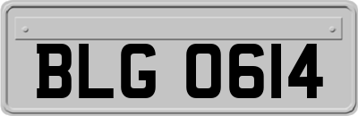BLG0614