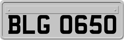 BLG0650