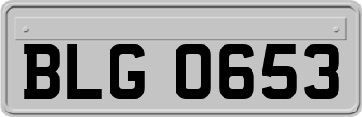 BLG0653