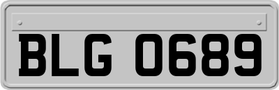 BLG0689