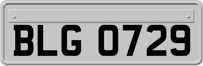 BLG0729