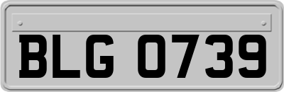 BLG0739