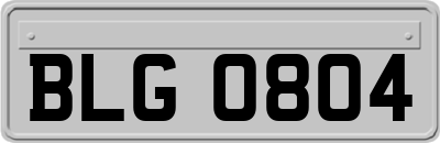 BLG0804