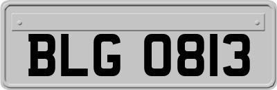 BLG0813