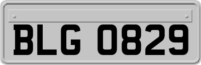 BLG0829