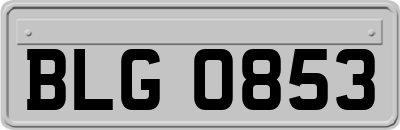 BLG0853