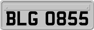 BLG0855
