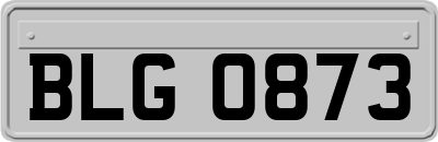 BLG0873