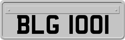 BLG1001