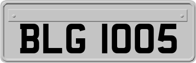 BLG1005