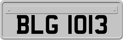 BLG1013