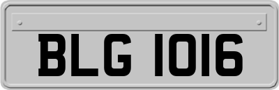 BLG1016