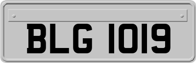 BLG1019